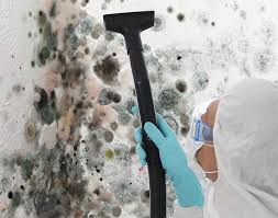 Best Asbestos and Lead Testing During Mold Inspection in Ashland, MO